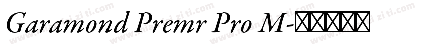 Garamond Premr Pro M字体转换